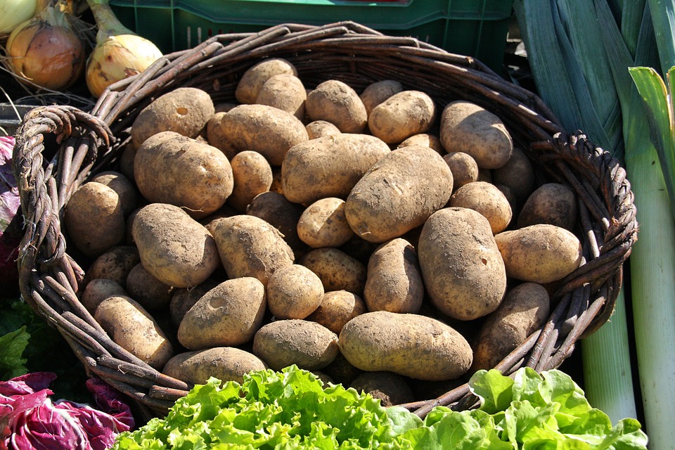 Rising Potato Prices in South Africa: Factors and Impact on Consumers